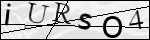Human Confirmation Code (Captcha)