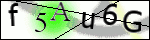 Human Confirmation Code (Captcha)