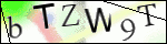 Human Confirmation Code (Captcha)
