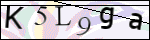 Human Confirmation Code (Captcha)