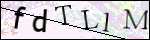 Human Confirmation Code (Captcha)