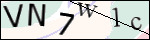 Human Confirmation Code (Captcha)