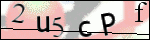 Human Confirmation Code (Captcha)