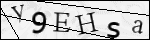 Human Confirmation Code (Captcha)