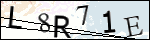 Human Confirmation Code (Captcha)