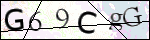 Human Confirmation Code (Captcha)