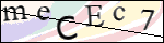 Human Confirmation Code (Captcha)