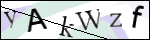 Human Confirmation Code (Captcha)