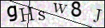 Human Confirmation Code (Captcha)