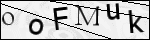 Human Confirmation Code (Captcha)