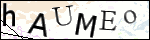 Human Confirmation Code (Captcha)