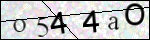 Human Confirmation Code (Captcha)