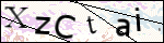 Human Confirmation Code (Captcha)
