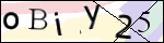 Human Confirmation Code (Captcha)