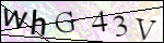 Human Confirmation Code (Captcha)