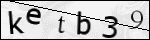 Human Confirmation Code (Captcha)