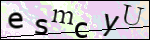 Human Confirmation Code (Captcha)