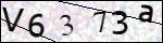 Human Confirmation Code (Captcha)
