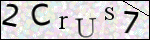 Human Confirmation Code (Captcha)