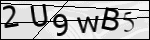 Human Confirmation Code (Captcha)