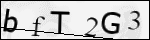 Human Confirmation Code (Captcha)