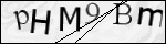 Human Confirmation Code (Captcha)