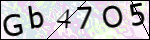 Human Confirmation Code (Captcha)
