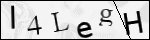 Human Confirmation Code (Captcha)