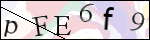 Human Confirmation Code (Captcha)