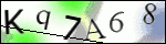Human Confirmation Code (Captcha)