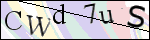 Human Confirmation Code (Captcha)