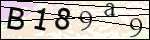Human Confirmation Code (Captcha)