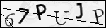 Human Confirmation Code (Captcha)