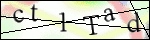 Human Confirmation Code (Captcha)
