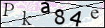 Human Confirmation Code (Captcha)