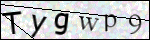 Human Confirmation Code (Captcha)