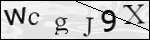 Human Confirmation Code (Captcha)
