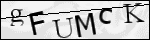 Human Confirmation Code (Captcha)