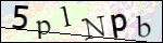 Human Confirmation Code (Captcha)