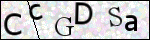Human Confirmation Code (Captcha)