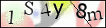 Human Confirmation Code (Captcha)