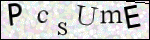 Human Confirmation Code (Captcha)