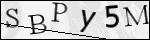 Human Confirmation Code (Captcha)