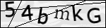 Human Confirmation Code (Captcha)