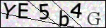 Human Confirmation Code (Captcha)