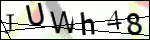 Human Confirmation Code (Captcha)