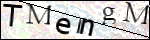 Human Confirmation Code (Captcha)