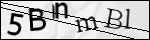 Human Confirmation Code (Captcha)