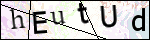 Human Confirmation Code (Captcha)