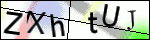 Human Confirmation Code (Captcha)